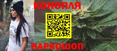 мяу мяу мука Кингисепп
