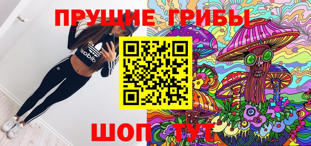 Галлюциногенные грибы Psilocybine cubensis  Вход с VPN  Елизово 